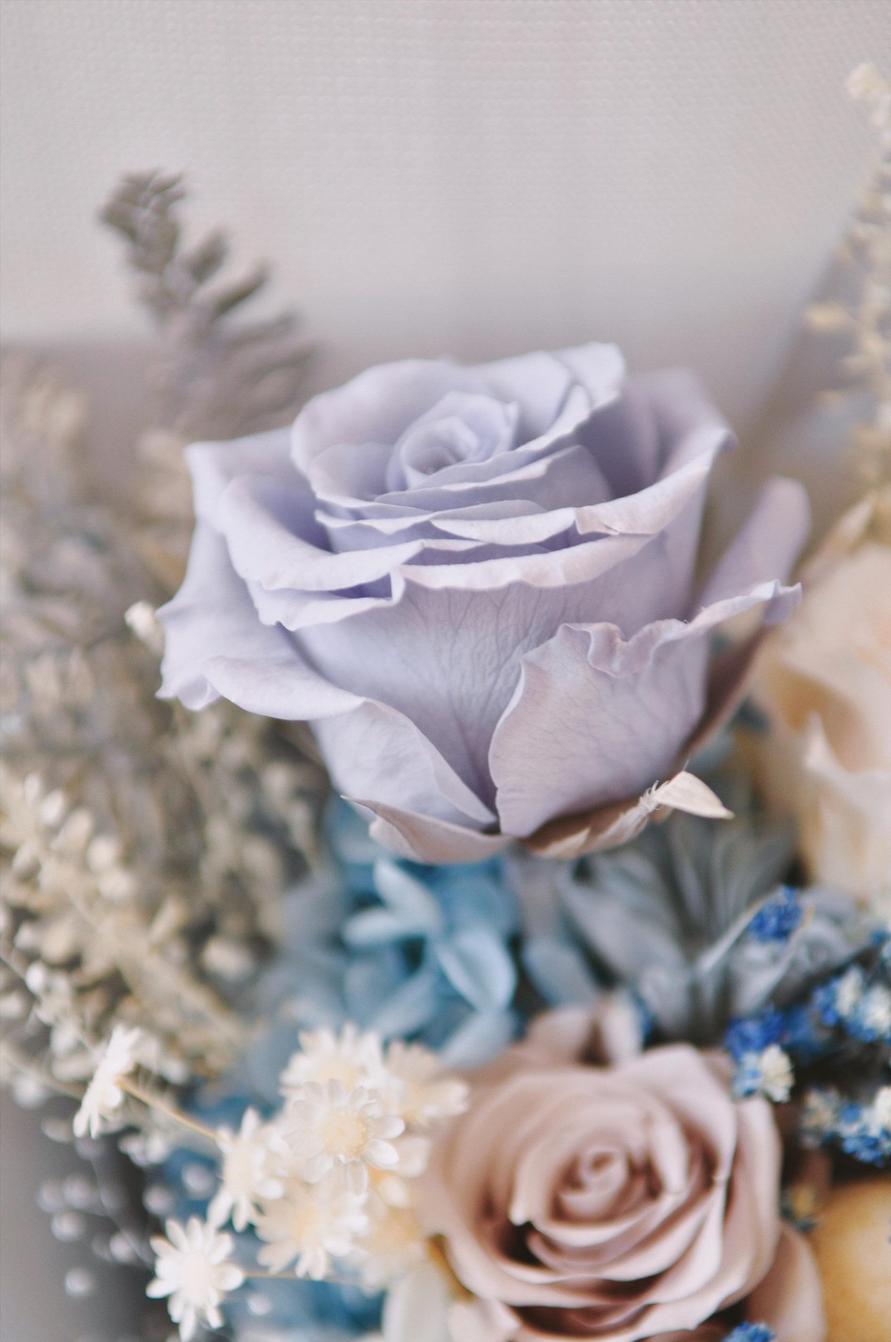 ｜永生花｜玫瑰乾燥花生束