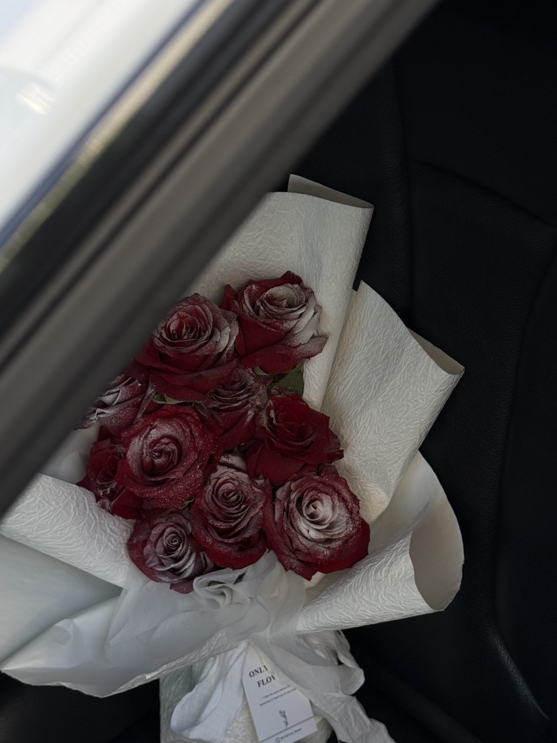 | 鮮花 |  落雪玫瑰