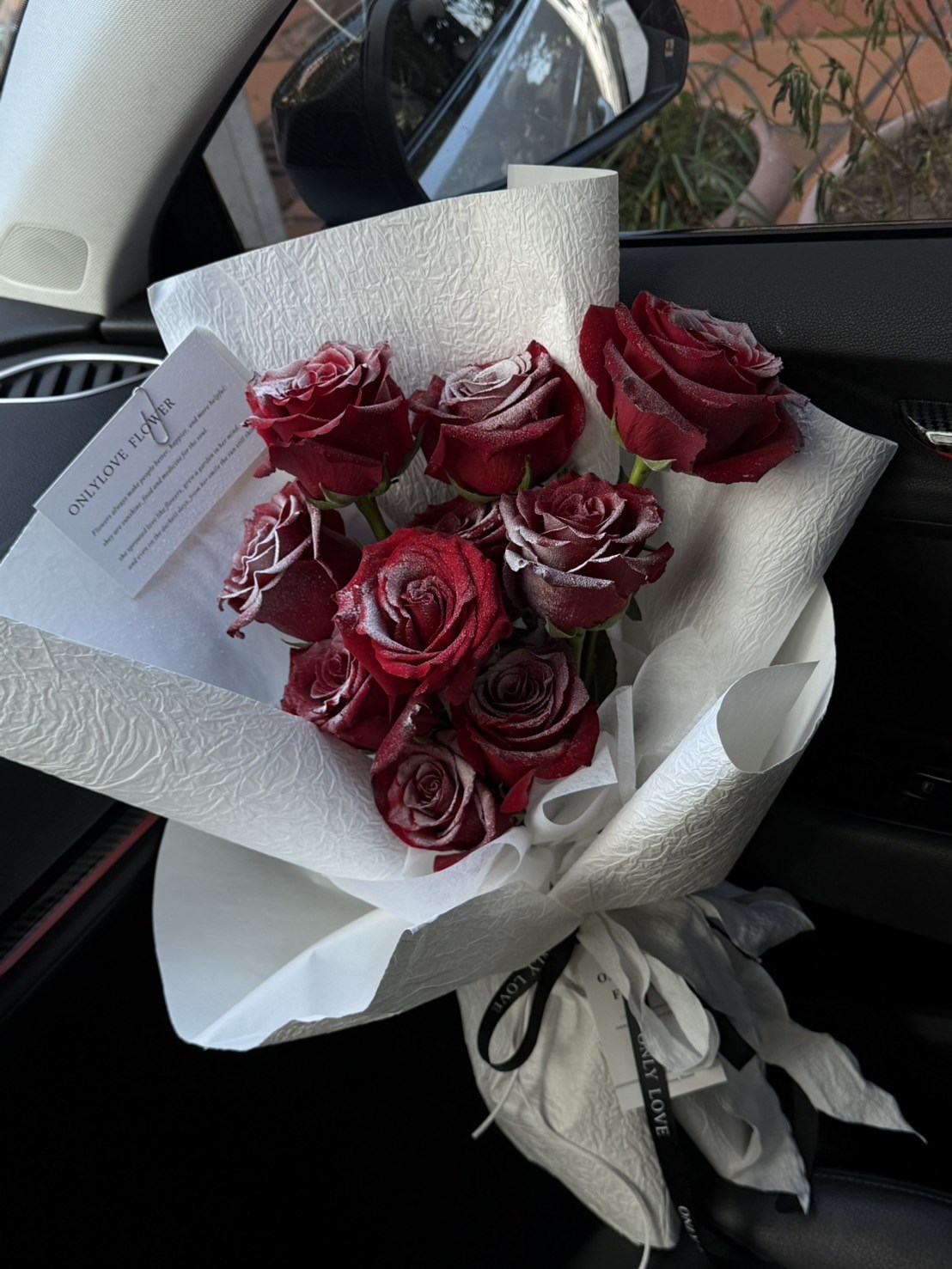 | 鮮花 |  落雪玫瑰