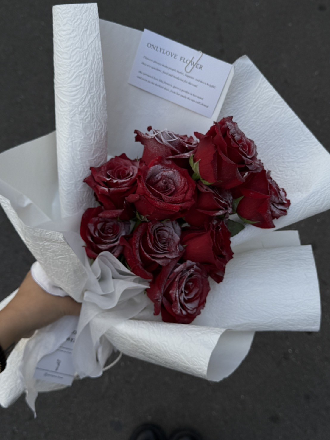 | 鮮花 |  落雪玫瑰