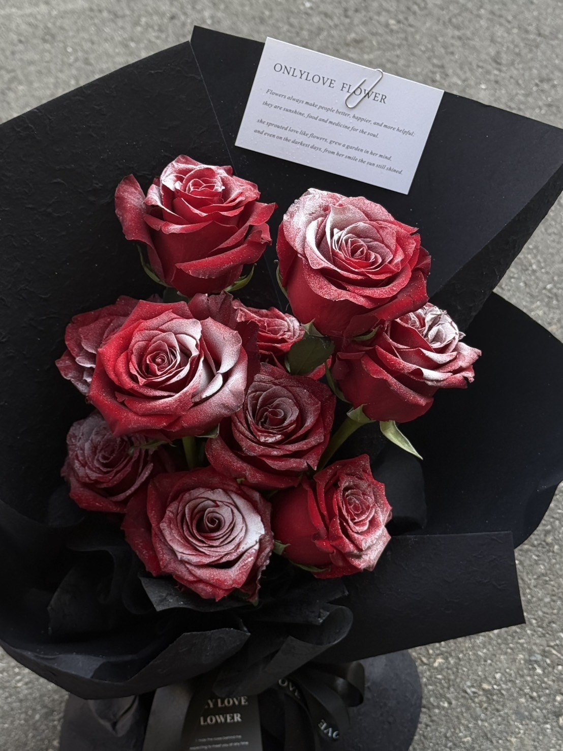 | 鮮花 |  落雪玫瑰(黑包裝)