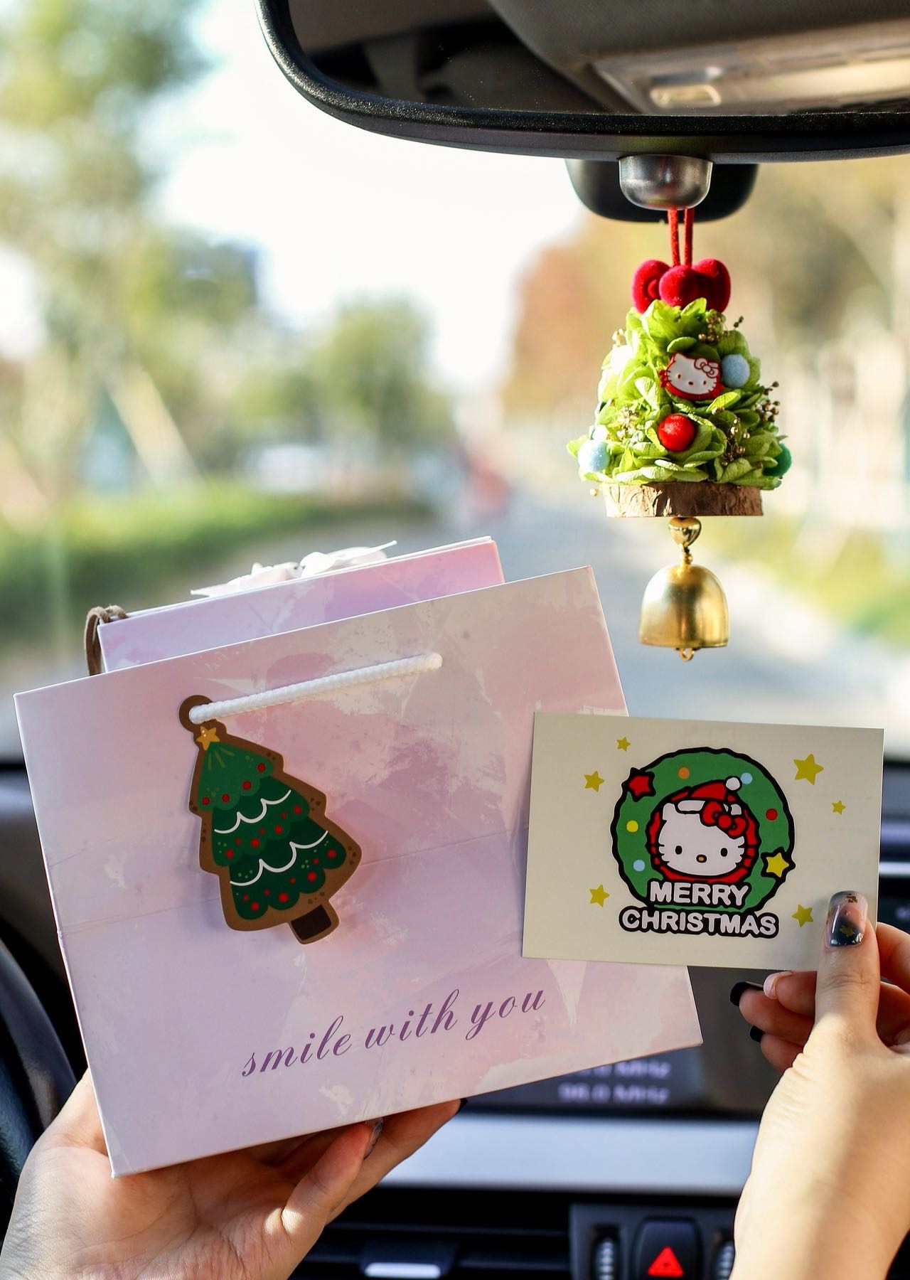 【聖誕限定】Kitty永生花聖誕車掛&擺飾