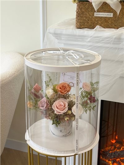 ｜永生花｜開幕盆花